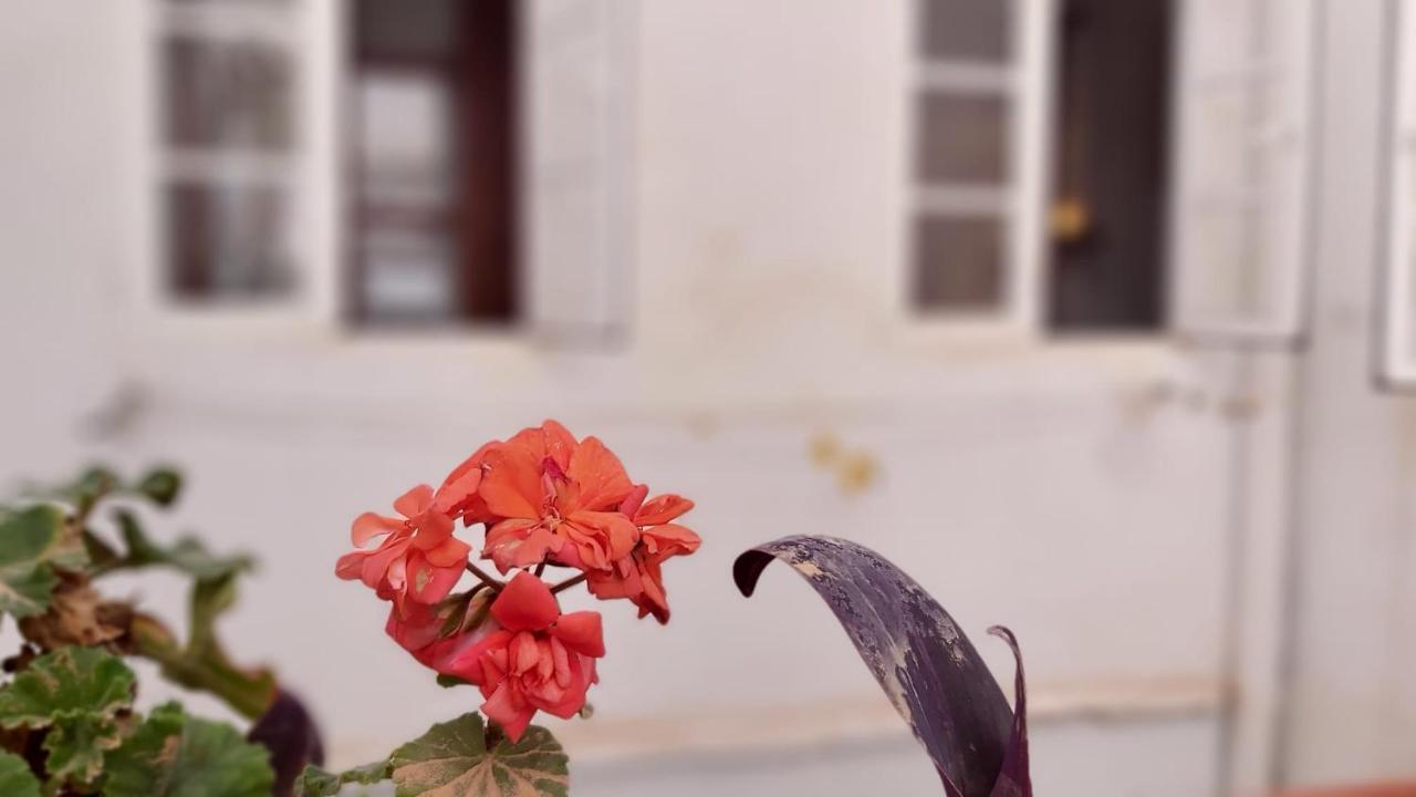 马拉加Del Parque Flats Alamos Terraza公寓 外观 照片