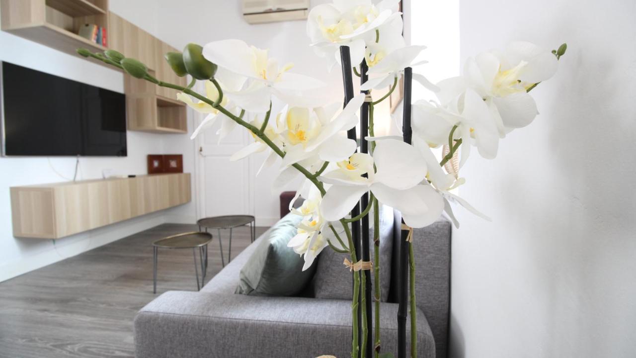 马拉加Del Parque Flats Alamos Terraza公寓 外观 照片